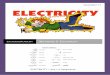 [NATIONAL 5 ELECTRICITY] - · PDF file0.1 I know the units for all of the physical quantities used in this course. ... prefixes and scientific notation. Prefix Symbol Power ... positive