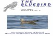 THE BLUEBIRD - Audubon Society of Missourimobirds.org/Bluebird/2010-2019/2017/June_2017.pdf · 66 Missouri Christmas Bird Counts, 2016-2017—Randy L. Korotev, ... THE BLUEBIRD is