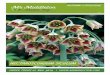 NECTAROSCORDUM SICULUM - Mr Middleton Garden …mrmiddleton.com/content/autumncatalogue.pdf · 10 Bulbs €5.95 Codestrong stems will support the flowers through the April 92/235