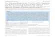 The Epithelial-Mesenchymal Transition (EMT) Regulatory ... · PDF fileThe Epithelial-Mesenchymal Transition (EMT) Regulatory Factor SLUG ... (SGM5 and ME1402) melanoma lines were provided