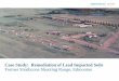 Case Study: Remediation of Lead Impacted Soils … Study: Remediation of Lead Impacted Soils Former Strathcona Shooting Range, Edmonton. Photo 1: ... Sticks, stones and unrepresentative