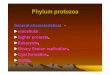 Phylum protozoa - Freemicrobiology.free.fr/Presentations/L.pdf · Phylum protozoa General ... Giardia, trichomonas intestinalis,chilomastix ... ♣Important genus : plasmodium, toxoplasma