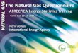 The Natural Gas Questionnaire - International Energy … conditions (15 degrees Celsius and 1 atm). Even report LNG amounts in SC. Conversion to energy units Report data in weighted