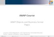 ABAP objects and BSP - ELTE SAP Portalsap.elte.hu/sap_abap/ABAP_Objects_and_BSP.pdfIntroduction ABAP Objects • Object-oriented enhancement of ABAP • Stepwise conversion of existing