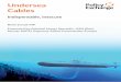 Undersea Cables -   · PDF fileUndersea . Cables. Indispensable, insecure. Rishi Sunak MP Foreword by Admiral James Stavridis, US Navy (Ret), former NATO