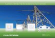 Lutron Smart Grid solutions for homes Smart Gri… · Lutron ® Smart Grid solutions for homes ... in devices as well as control of third-party ... Zigbee (802.15.4) Smart meter relays