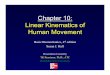 Chapter 10: Linear Kinematics of Human Movement Kinematics of Human Movement Basic Biomechanics, 4th edition Susan J. Hall Presentation Created by TK Koesterer, Ph.D., ATC Humboldt