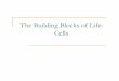 The Building Blocks of Life: Cells - SD67 (Okanagan Skaha) 10 pdf/Biology/Cell Structure... · The Building Blocks of Life: Cells. ... The cell is the functional unit of life. 3