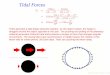 Tidal Forces - Stony Brook  · PDF fileTidal Forces Ft = GMm (R − r)2 ... decaying orbits and will eventually fall within the Roche Limit and be destroyed