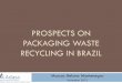 PROSPECTS ON PACKAGING WASTE RECYCLING IN …eimpack.ist.utl.pt/~eimpack.daemon/docs/0.4 Montenegro.pdf · Preliminary 3 The management of domestic solid wastes is a local public