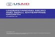 UNDERSTANDING MICRO AND SMALL ENTERPRISE …pdf.usaid.gov/pdf_docs/PNADY362.pdf · UNDERSTANDING MICRO AND SMALL ENTERPRISE ... • The business environment, ... This “problem-solving”