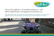 Submission 180 - Australian Federation of Disability ... · Web viewSubmission 180 - Australian Federation of Disability Organisations - National Disability Insurance Scheme (NDIS)