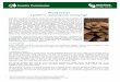 Download Wood as fuel - A guide to choosing and drying logs · PDF filea guide to choosing and drying logs ... The moisture content of a piece of wood is a measure of the relative