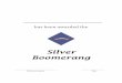 Silver Boomerang earning the Silver Boomerang you have completed these tasks: 1. Health and First Aid (Responsibility for Self) 2. Safety (Responsibility for Self) 3. Ropes (Outdoor