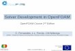 Solver Development in OpenFOAM - CloudPYME Unión Europea FEDER Invertimos en su futuro OpenFOAM Course 2nd Edition Solver Development in OpenFOAM C. Fernandes, L.L. …