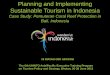 Planning and Implementing Sustainable Tourism in Indonesiaasiapacific.unwto.org/sites/all/files/pdf/indonesia.pdf · Planning and Implementing Sustainable Tourism in Indonesia 