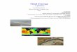 Tidal Energy - · PDF fileconsidered a kind of underwater windmill. ... No, tidal energy power systems are expected to be very competitive with other conventional energy sources,