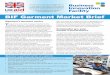BIF Garment Market Brief - Business Innovation · PDF fileBIF Garment Market Brief Myanmar’s garment sector at a glance ... quality of infrastructure, ... perspective there is little