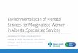 Environmental Scan of Prenatal Services for Marginalized ... · PDF fileEnvironmental Scan of Prenatal Services for Marginalized Women ... Identified Needs by Location, ... women and