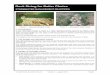 STORMWATER MANAGEMENT PRACTICES · PDF file · 2014-07-04In the stormwater industry a ‘chute is a steep drainage channel, typically of uniform cross-section, that passing down ‘the