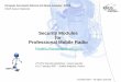 Security modules for Professional Mobile Radio - · PDF filea security module is the set of hardware, ... Security Modules for Professional Mobile Radio 10 / 16 ... Security Modules