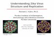 Understanding Zika Virus Structure and Replication/media/Files/Activity Files... · Understanding Zika Virus Structure and Replication NAS and IOM Zika Virus Workshop February 16,