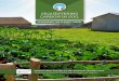 SEQUESTERING CARBON IN SOIL - Future of Food · PDF fileSEQUESTERING CARBON IN SOIL Summary Report from May 3-5, 2017 Conference Chantilly, France Conference produced by Breakthrough