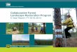 Collaborative Forest Landscape Restoration Program Forest Landscape Restoration Program 5-Year Report, FY 2010–2014 Forest Service FS-1047 April 2015 USDA Forest Service 2 ARATIVE
