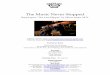 The Music Never Stopped -   · PDF fileThe Music Never Stopped ... Press Contacts: New York ... Kohlberg is a veteran film producer, but he had never directed for the screen