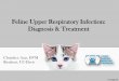 Feline Upper Respiratory Infection: Diagnosis ??Overlapping clinical signs makes diagnosis of ... â€¢Nasal sinus, trachea, lung, ... â€¢ Nasopharyngeal polyps â€¢ Dental