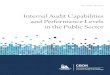 Internal Audit Capabilities and Performance Levels … Audit Capabilities and Performance Levels in the Public Sector A Global Assessment Based on IIA’s 2010 Global Internal Audit