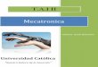 T.A.I II Mecatronica - jeuazarru.comjeuazarru.com/wp-content/uploads/2014/10/Mecatronica.pdf · La Mecatronica se ha desarrollado en diferentes ramas creando así nuevos conceptos,
