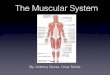 The Muscular System - East Williston Union Free … muscular system controls motor skills and fine motor skills. It controls movement, maintain ... •