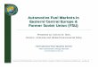 Automotive Fuel Markets in Eastern/Central Europe & · PDF filePresented at UN/EPA Partnership on Cleaner Fuels & Vehicles, November 14, 2002 by the International Fuel Quality Center