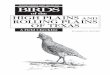 TEXAS PARKS AND WILDLIFE BIRDS · PDF filebirds texas parks and wildlife of the a field checklist high plains and rolling plains of texas by kenneth d. seyffert