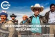 GRASSROOTS DIPLOMACY IN MESOAMERICA - · PDF fileGRASSROOTS DIPLOMACY IN MESOAMERICA. Nazareth Porras ... Communication Channel (MoFA – Communities) Visual Identity. Participatory