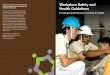 Safety and Health Council in collaboration with Health ... · PDF fileWorkplace Safety and Health Guidelines Investigating Workplace Incidents for SMEs ... Safety and Health Council