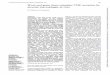 Woolandgrain TNFsecretion - Occupational and …oem.bmj.com/content/oemed/53/6/387.full.pdf · Woolandgrain dusts stimulate TNFsecretion byalveolarmacrophagesin vitro macrophageswerepreparedbytreating