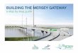 BUILDING THE MERSEY · PDF file · 2015-08-07BUILDING THE MERSEY GATEWAY Bridge pylons Elevated approach ... Approximately 300 steel piles will be used for each ... and assembling