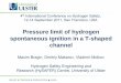 Pressure limit of hydrogen spontaneous ignition in a …conference.ing.unipi.it/ichs2011/presentations/171...Pressure limit of hydrogen spontaneous ignition in a T-shaped channel Maxim