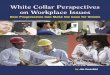 White Collar Perspectives on Workplace Issues democracy/Grossfeld...4 WHITE COLLAR PERSPECTIVES ON WORKPLACE ISSUES: How Progressives Can Make the Case for Unions I t is difﬁcult