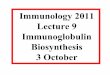 Immunology 2011 Lecture 9 Immunoglobulin …jeeves.mmg.uci.edu/immunology/LecturePPT/LEC09P.pdfLecture 9 Immunoglobulin Biosynthesis 3 October. B T ... Tolerance, suppression ANTIBODY