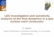 LES investigation and sensitivity analysis of the flow ... · PDF fileLES investigation and sensitivity analysis of the flow dynamics in a gas ... Siemens SGT800 Background Gas Turbines