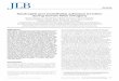 Neutrophil and endothelial adhesive function …vonandrian.hms.harvard.edu/Publications/2013/NussbaumJLB.pdfNeutrophil and endothelial adhesive function during human fetal ontogeny