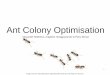 Ant Colony Optimisation - Unit informationteaching.csse.uwa.edu.au/units/CITS7212/Lectures/Students/ACO.pdf · 2 Contents Introduction to Ant Colony Optimisation Natural Inspiration