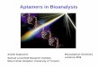 Aptamers in Bioanalysis - York University in Bioanalysis Bioanalytical ... the aptamer with the target MG ... should not greatly affect the initial affinity and specificity. Modification