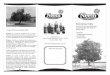 Neem Conozca más - Neem Herbal Products ® | El árbol de ... · PDF fileacerca de las características y propiedades del árbol de Neem (Nim) Conozca más Análisis Compuestos activos
