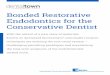 Bonded Restorative Endodontics for the Conservative Dentistbusadental.com/wp-content/uploads/sites/15/2015/05/B_4286-Bonded... · Endodontics for the Conservative Dentist ... for
