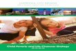 LIVERPOOL CITY REGION - Metropolitan Borough of · PDF filehealth and wellbeing of children across the Liverpool City Region. Transport • Successfully implement and promote extension
