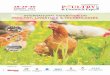 BIEC, Bangalore, India - International Poultry & … August 2017 BIEC, Bangalore, INDIA INTERNATIONAL EXHIBITION ON POULTRY, LIVESTOCK & TECHNOLOGIES 2017